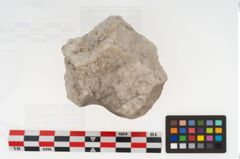 Foto von Stein (NHMW-PRAE-073311)